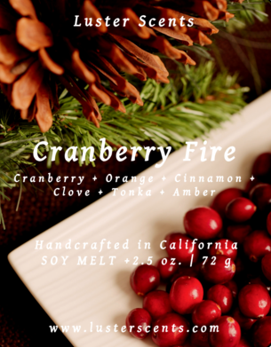 Cranberry Fire Wax Melt